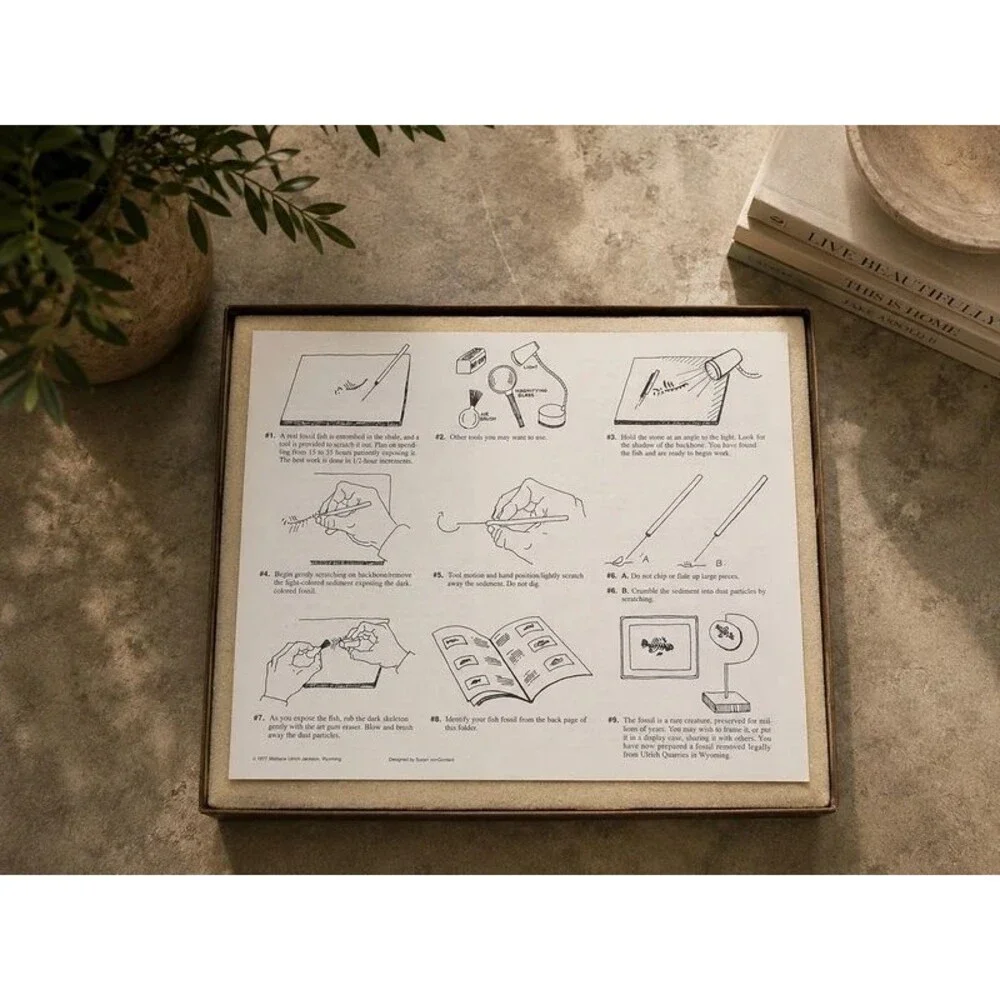 Vintage 1977 Stone Fish Fossil Excavation Kit Wyoming